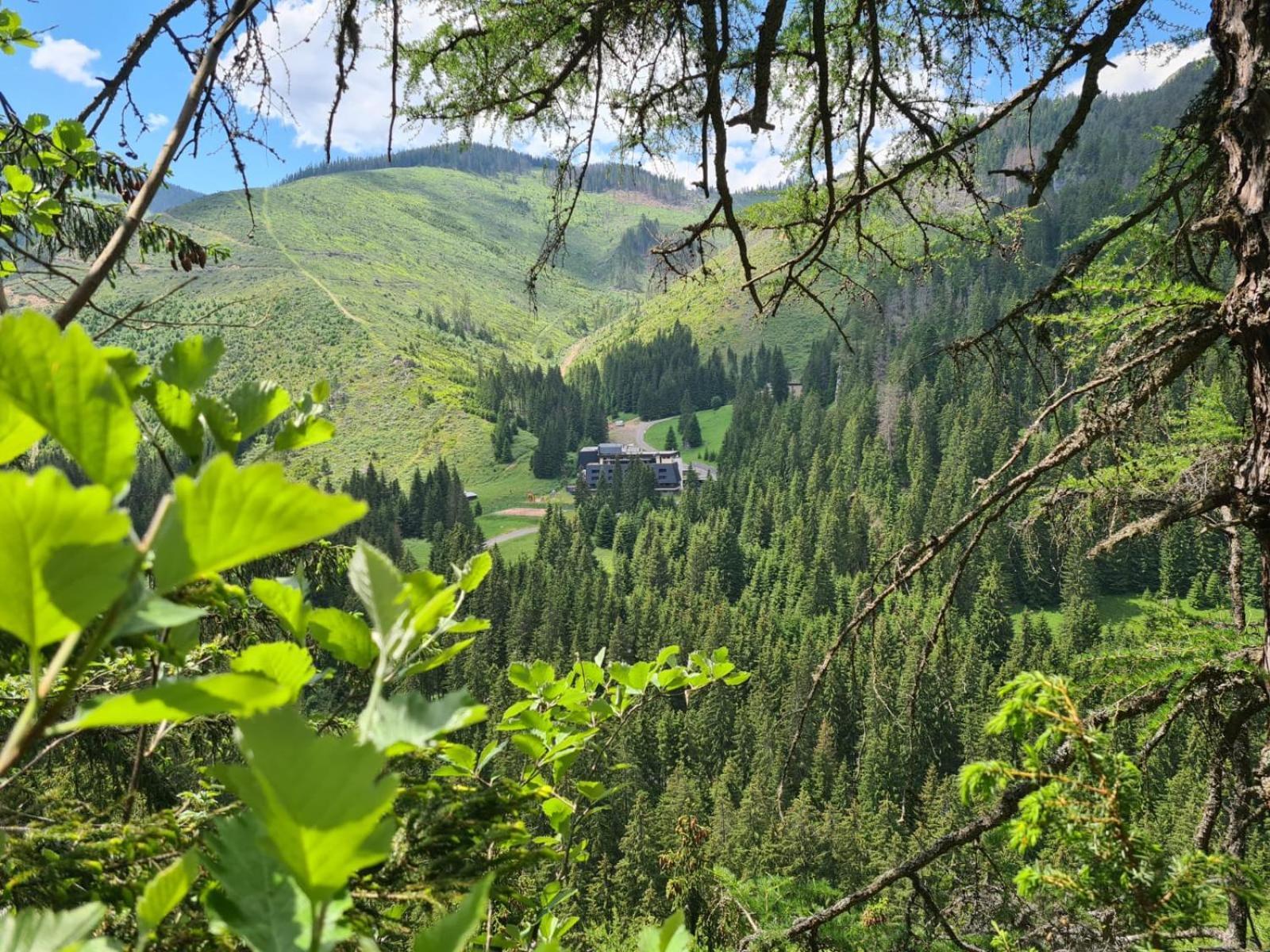 Wellness Hotel Repiska Демановска Долина Екстериор снимка